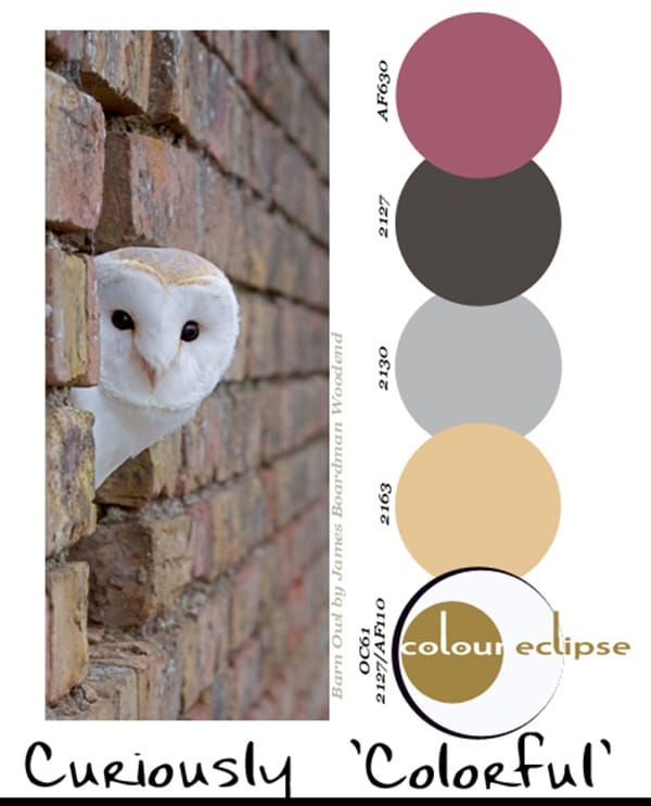 30-receiving-color-palettes-inspired-by-animals-15