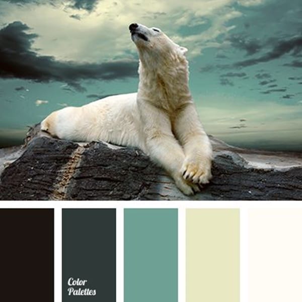 30-receiving-color-palettes-inspired-by-animals-17