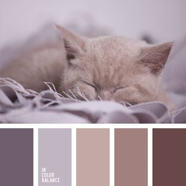 30-receiving-color-palettes-inspired-by-animals-19