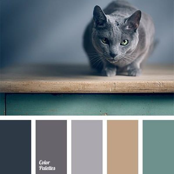 30-receiving-color-palettes-inspired-by-animals-21