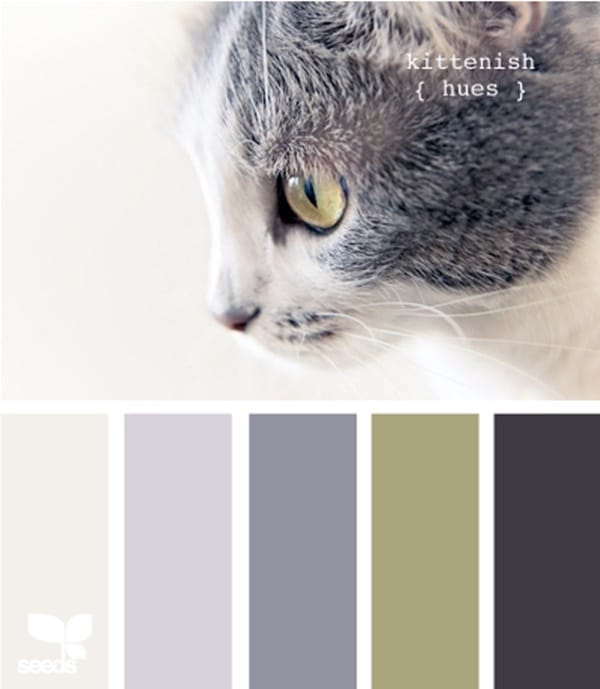 30-receiving-color-palettes-inspired-by-animals-23