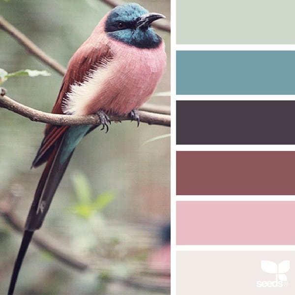 30-receiving-color-palettes-inspired-by-animals-25