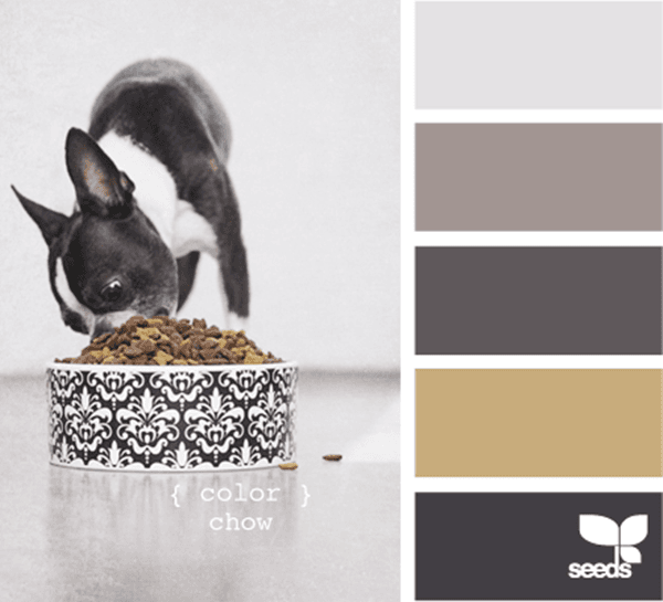 30-receiving-color-palettes-inspired-by-animals-27