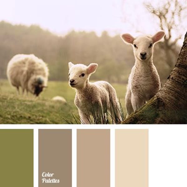 30-receiving-color-palettes-inspired-by-animals-7