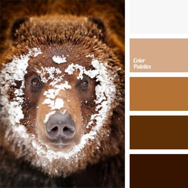 30-receiving-color-palettes-inspired-by-animals-8