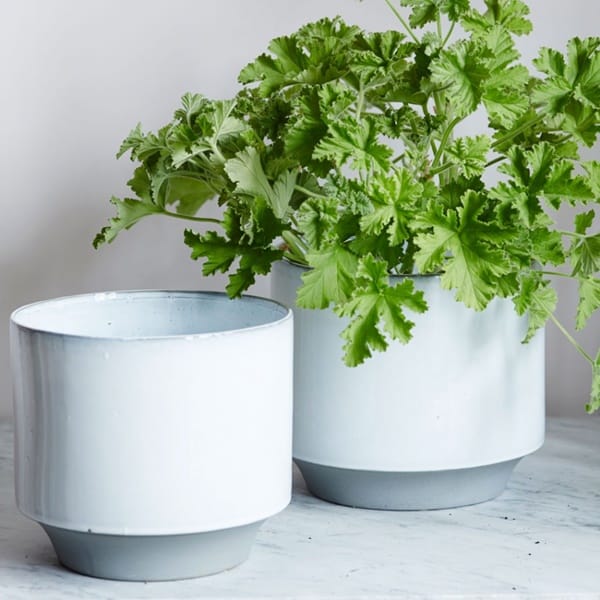 choosing small plant pot containers 8