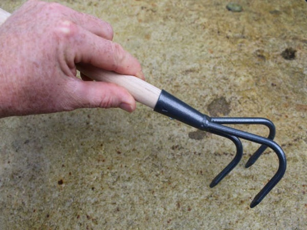 tools for gardening every beginner should know 5