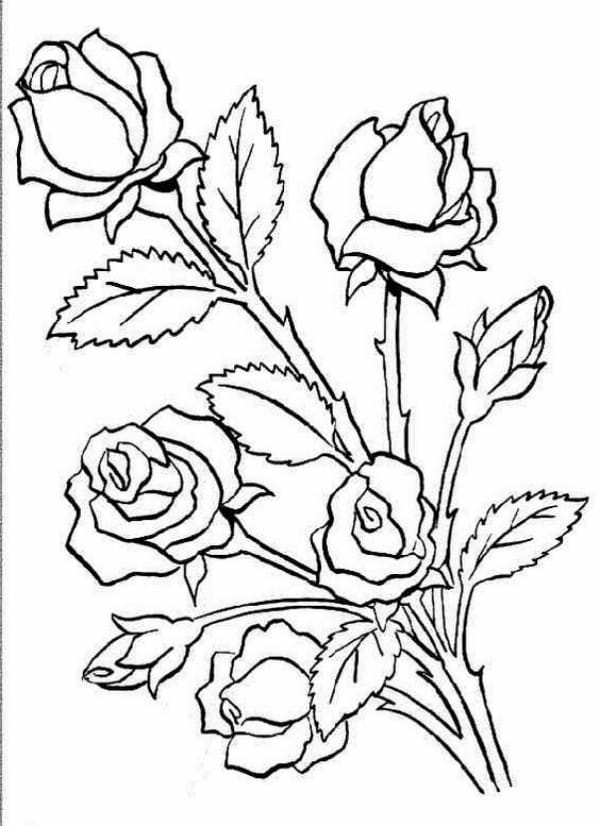 Designs for Glass Painting00003