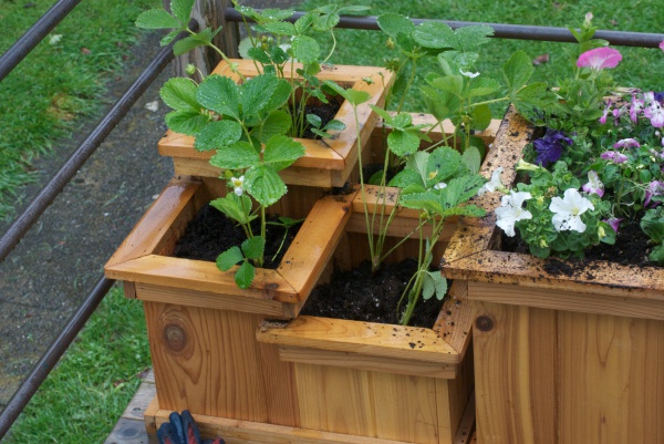 DIY-Outdoor-Wooden-Planter-Box