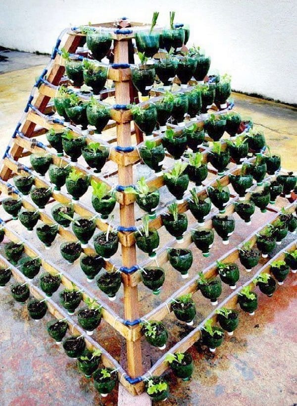 Bottle-Garden-Ideas-which-Are-Borderline-Genius