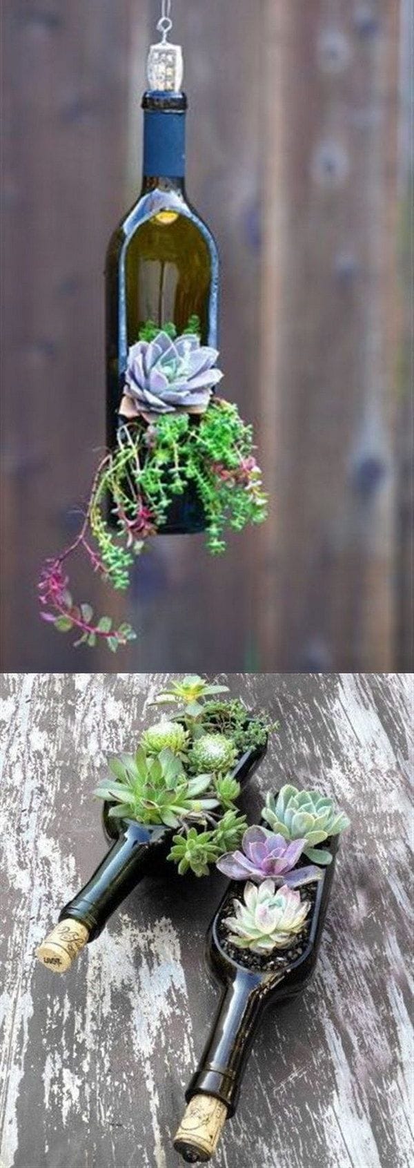 Bottle-Garden-Ideas-which-Are-Borderline-Genius