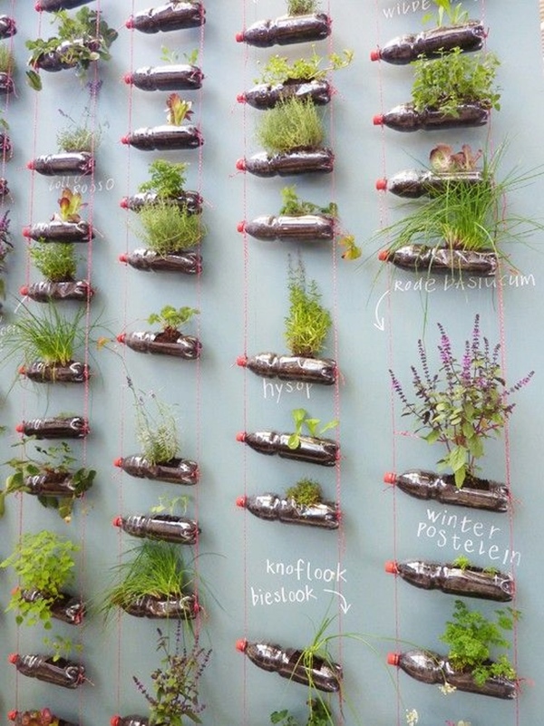 Bottle-Garden-Ideas-which-Are-Borderline-Genius