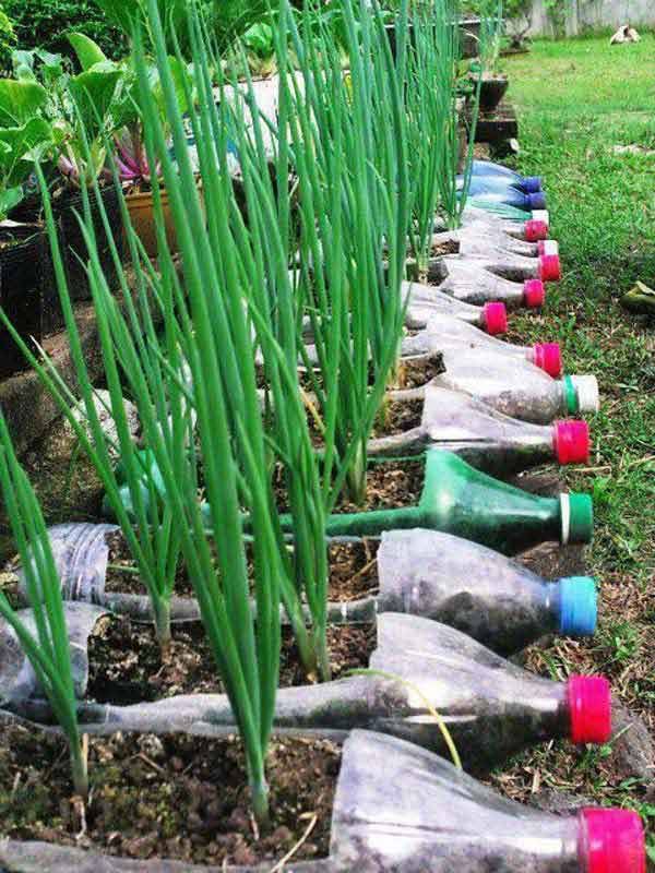 Bottle-Garden-Ideas-which-Are-Borderline-Genius