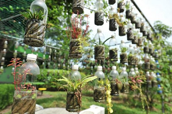 Bottle-Garden-Ideas-which-Are-Borderline-Genius