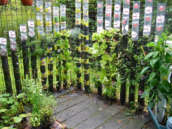 Bottle-Garden-Ideas-which-Are-Borderline-Genius