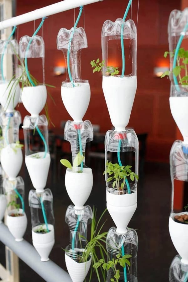 Bottle-Garden-Ideas-which-Are-Borderline-Genius