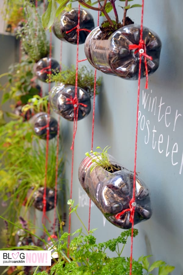 Bottle-Garden-Ideas-which-Are-Borderline-Genius