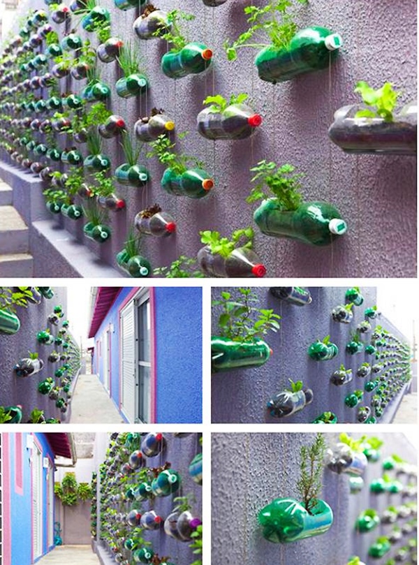 Bottle-Garden-Ideas-which-Are-Borderline-Genius