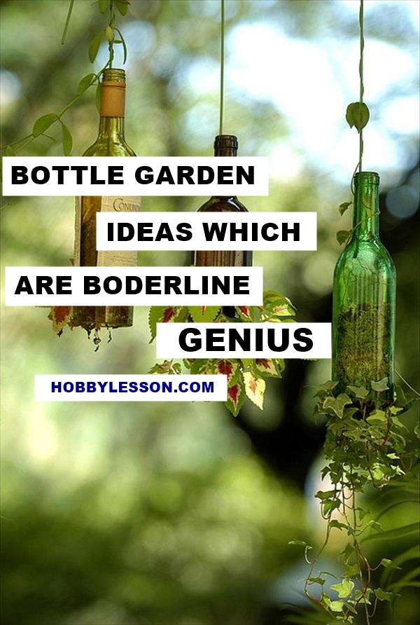 Bottle-Garden-Ideas-which-Are-Borderline-Genius