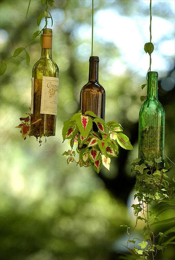 Bottle-Garden-Ideas-which-Are-Borderline-Genius