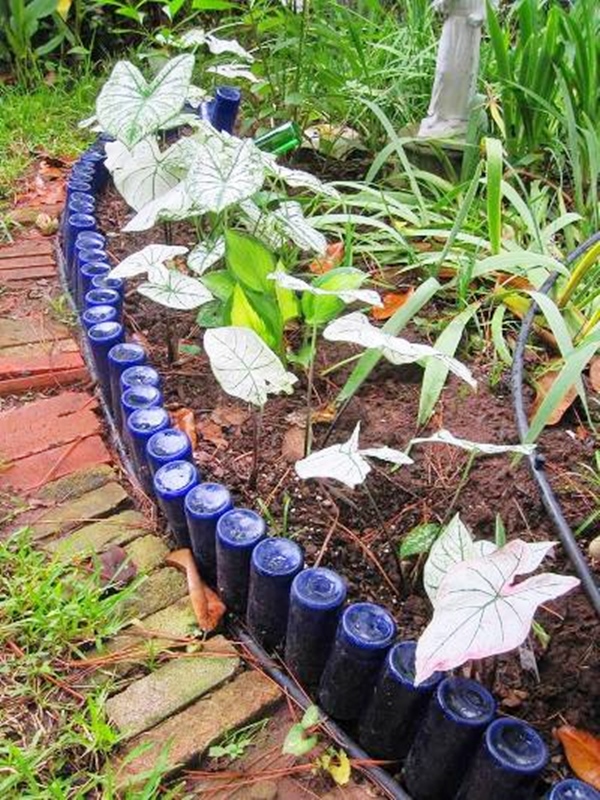 Bottle-Garden-Ideas-which-Are-Borderline-Genius