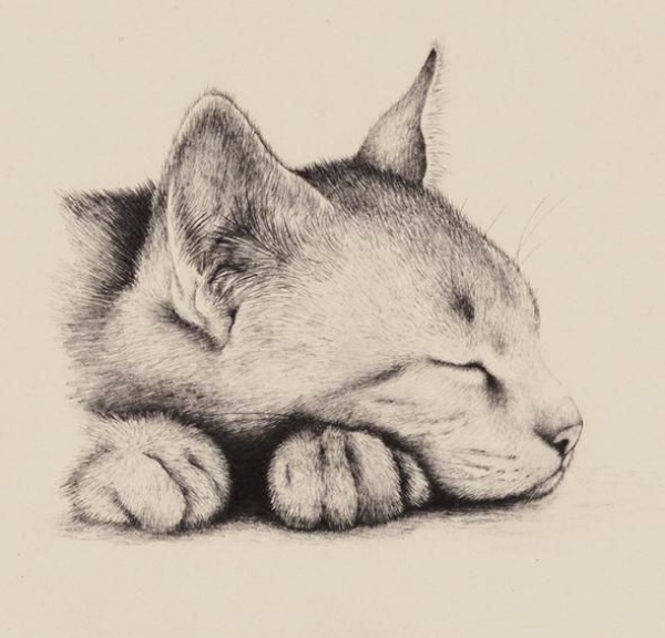 Dumbfounding Best pencil sketch drawings to Practice