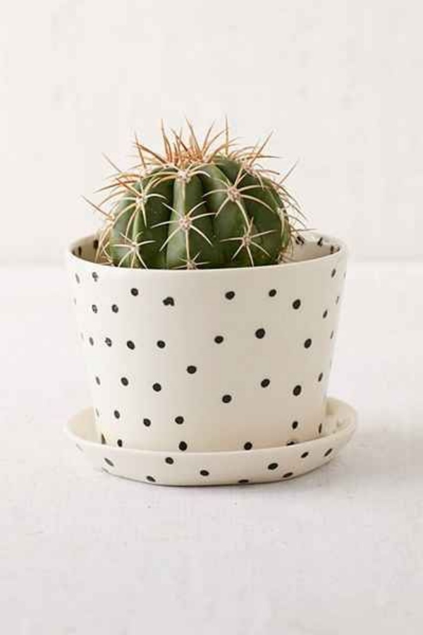 Handmade Large/Small Ceramic Dotted Pots