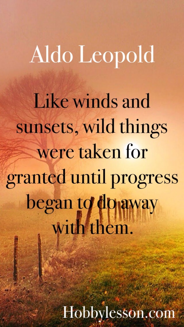 Inspirational Sunset Quotes