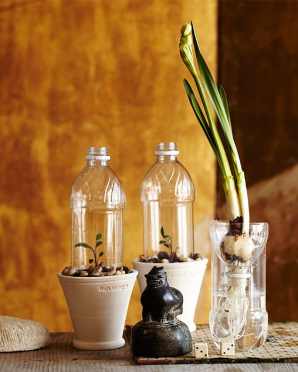 Plastic Bottle Planter ideas