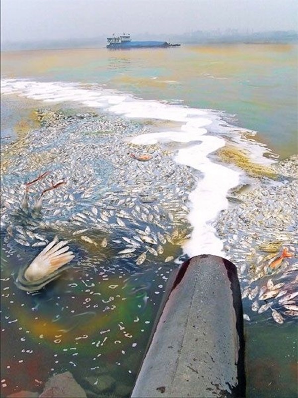  Heartbreaking Pictures of Water Pollution