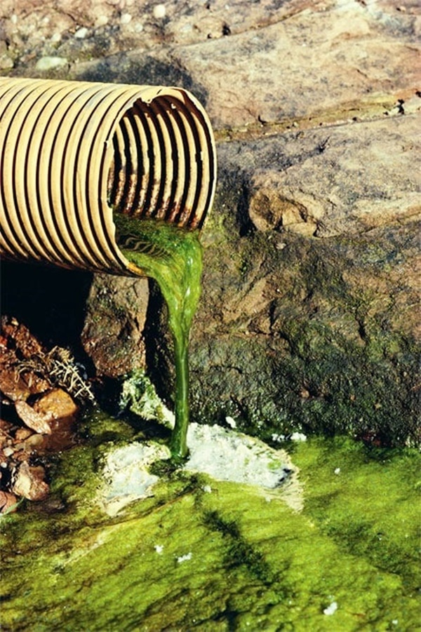 Heartbreaking Pictures of Water Pollution