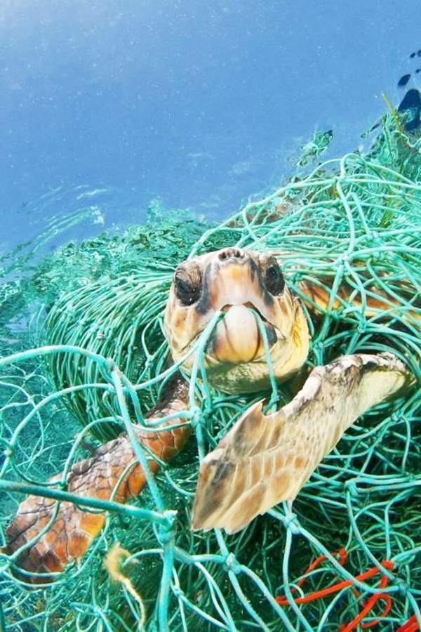  Heartbreaking Pictures of Water Pollution