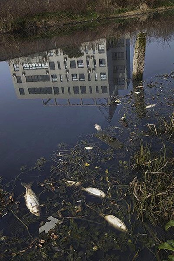  Heartbreaking Pictures of Water Pollution