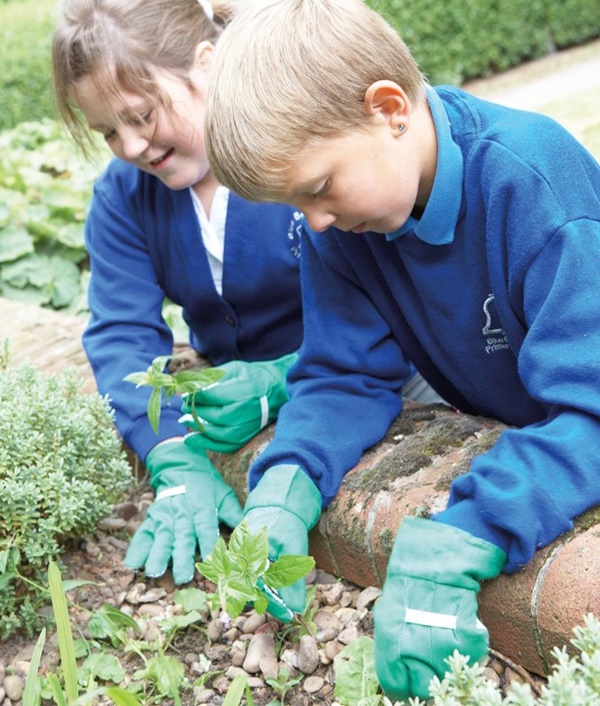 Small Kids Garden Ideas to Foster kid's Interest in Gardening