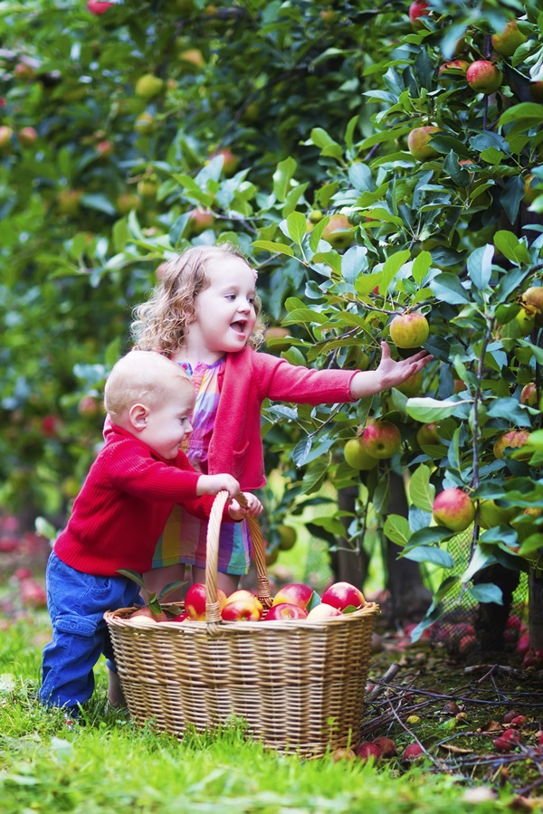 Small Kids Garden Ideas to Foster kid's Interest in Gardening