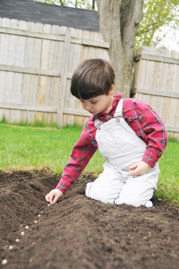 Small Kids Garden Ideas to Foster kid's Interest in Gardening