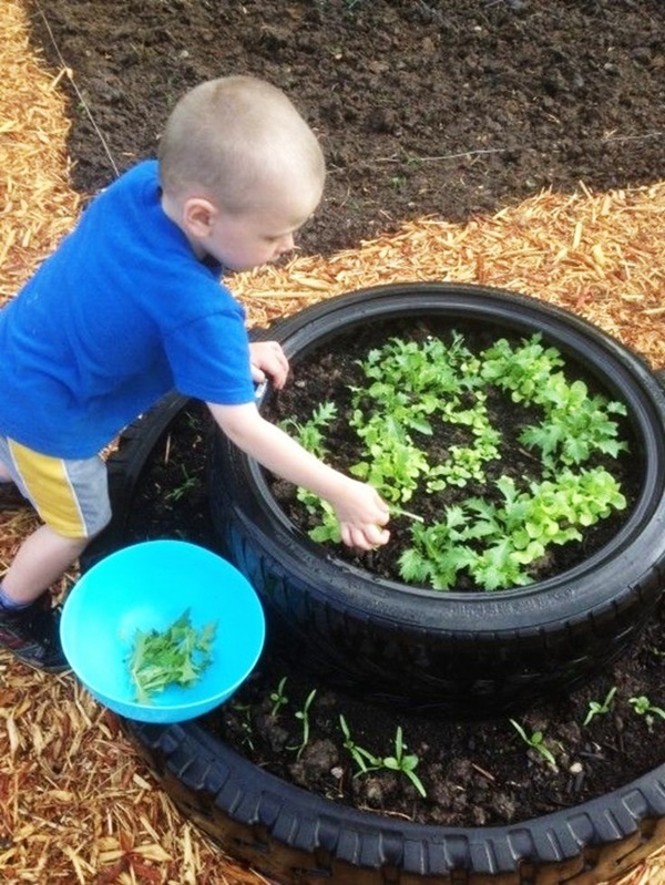 Small Kids Garden Ideas to Foster kid's Interest in Gardening