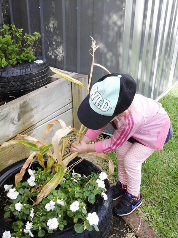 Small Kids Garden Ideas to Foster kid's Interest in Gardening