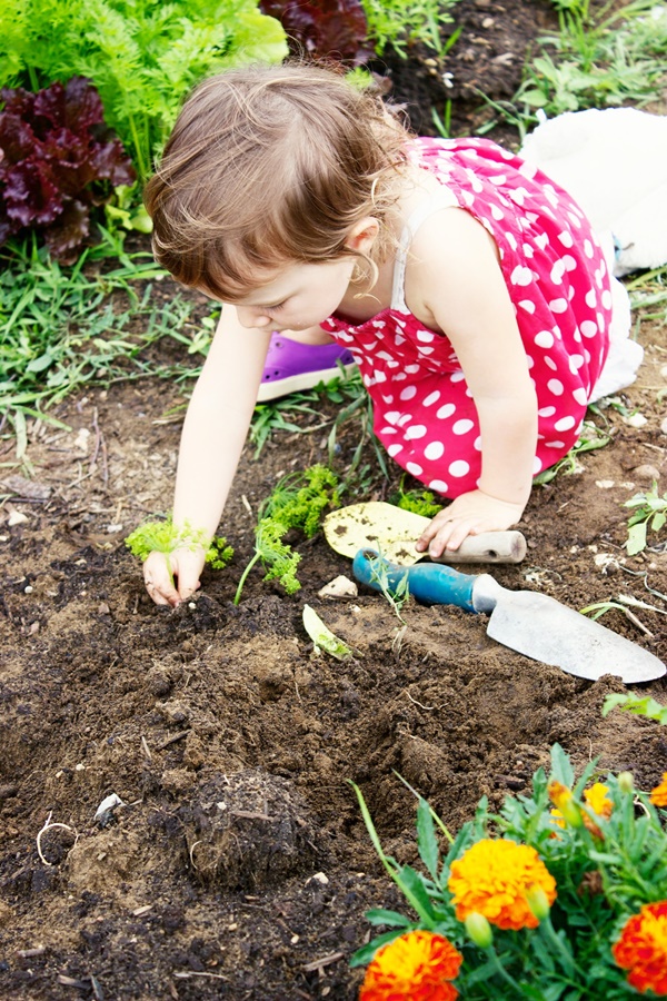 Small Kids Garden Ideas to Foster kid's Interest in Gardening