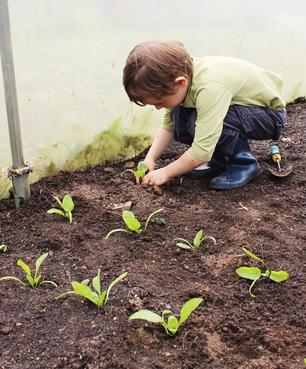 Small Kids Garden Ideas to Foster kid's Interest in Gardening