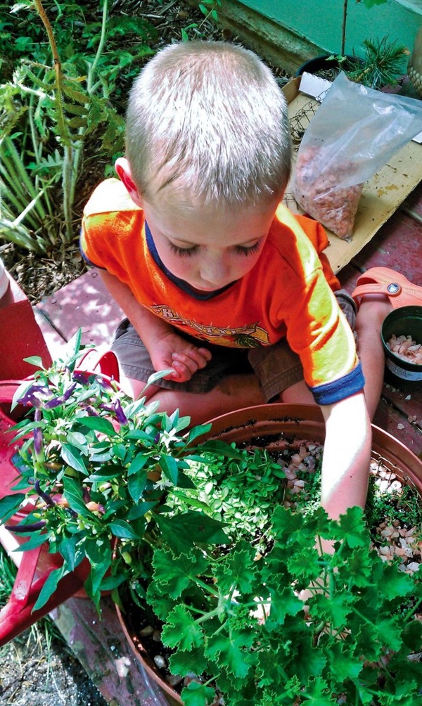 Small Kids Garden Ideas to Foster kid's Interest in Gardening