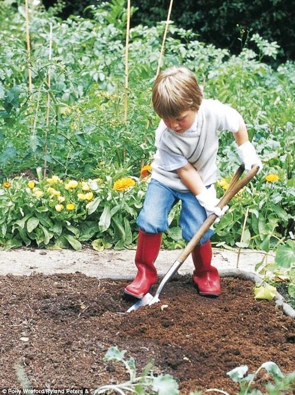 Small Kids Garden Ideas to Foster kid's Interest in Gardening