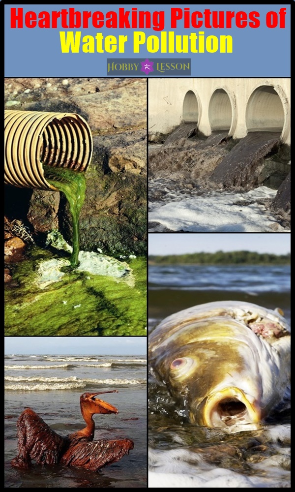 Heartbreaking Pictures of Water Pollution