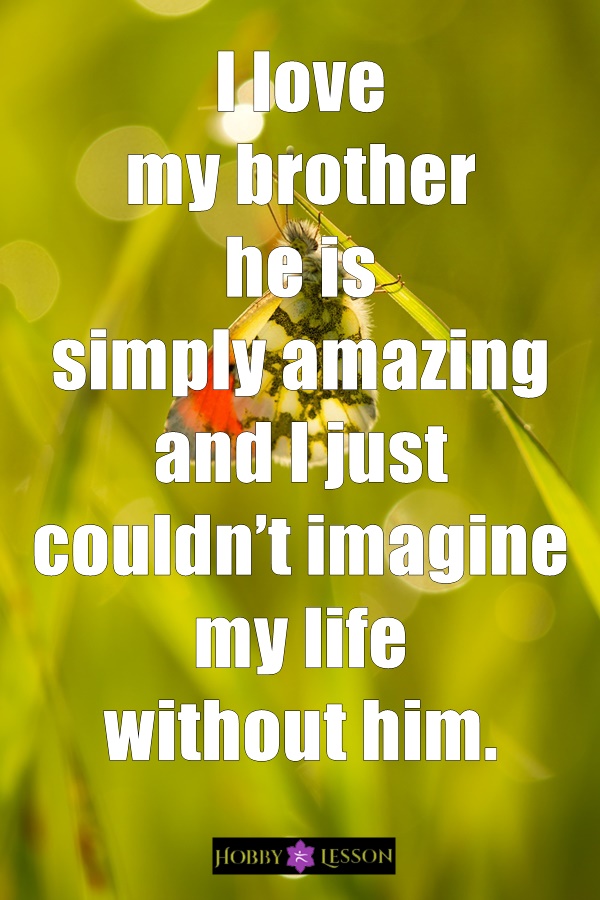 Cute Brother and Sister Quotes and Sayings