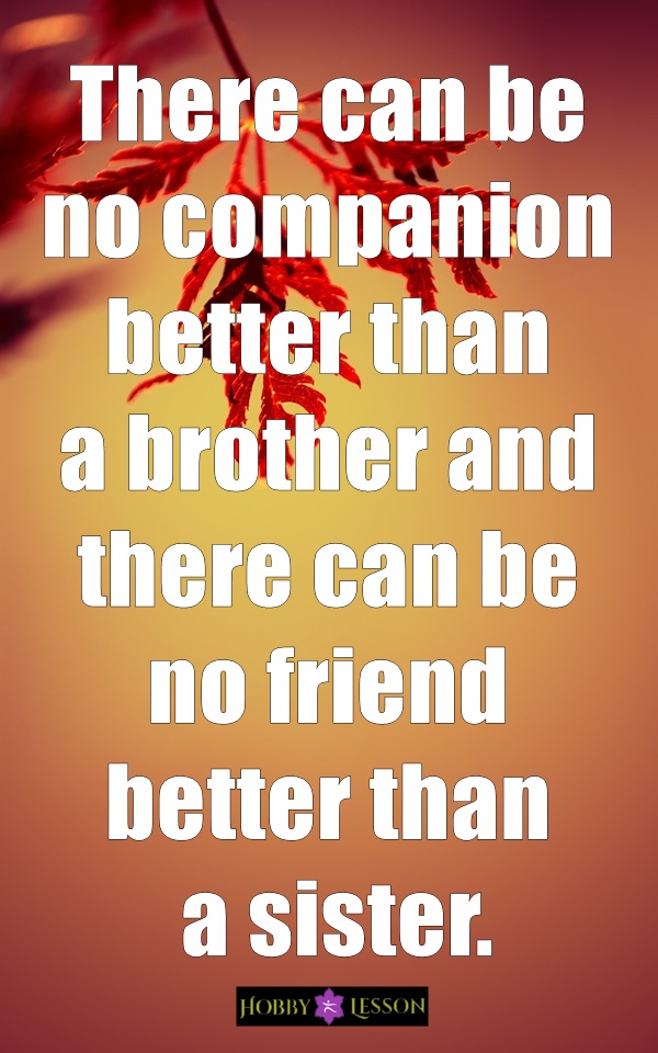 Cute Brother and Sister Quotes and Sayings