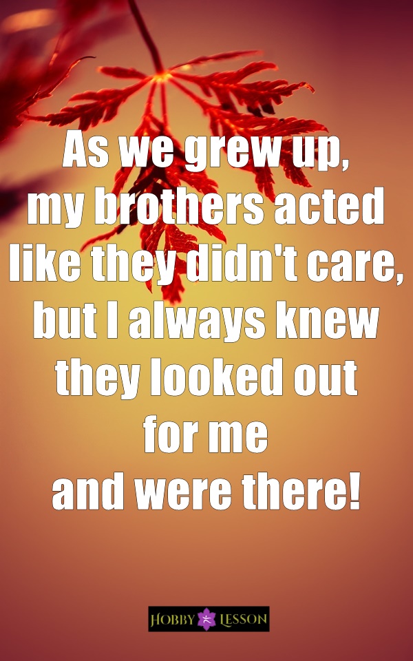 Cute Brother and Sister Quotes and Sayings