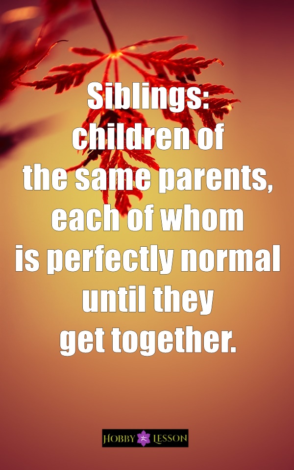 Cute Brother and Sister Quotes and Sayings