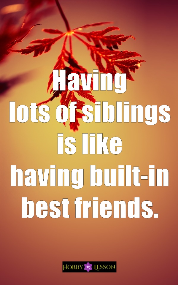 Cute Brother and Sister Quotes and Sayings