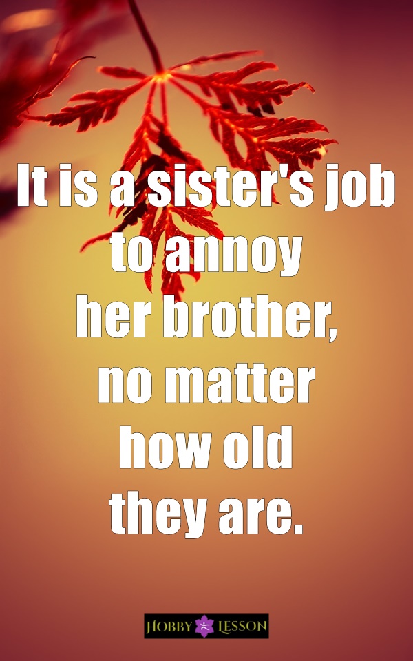 Cute Brother and Sister Quotes and Sayings