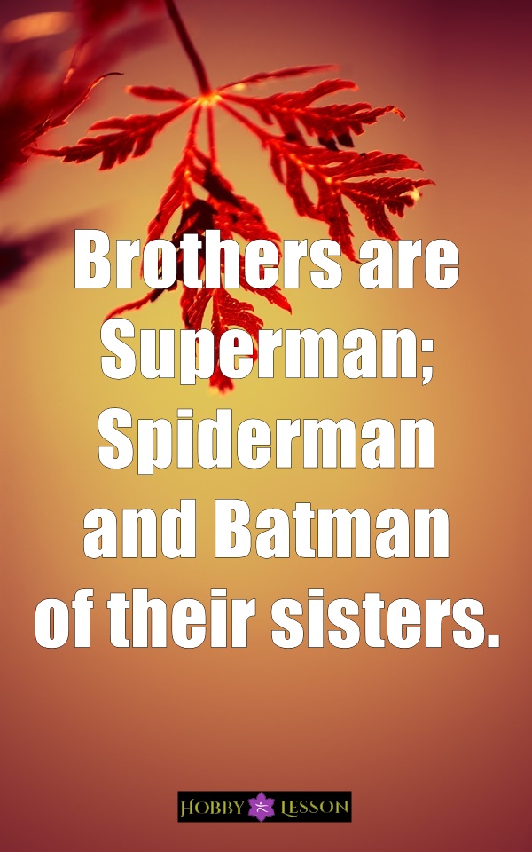 Cute Brother and Sister Quotes and Sayings